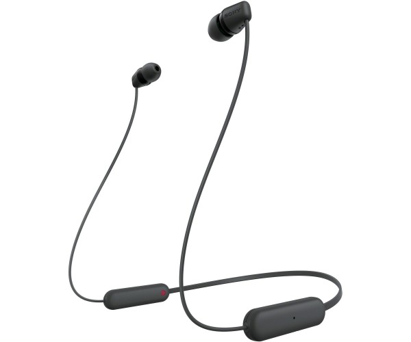 Sony Навушники WI-C100 In-ear IPX4 Wireless Чорний, фото №1