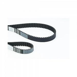 Ремень ГРМ CONTINENTAL CTAM CT957(SET) для AUDI SEAT SKODA VW - Фото 1