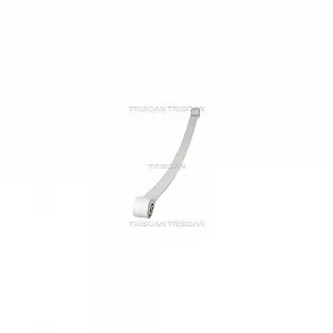 Ресора TRISCAN для MERCEDES-BENZ VW, задня вісь - Фото 1