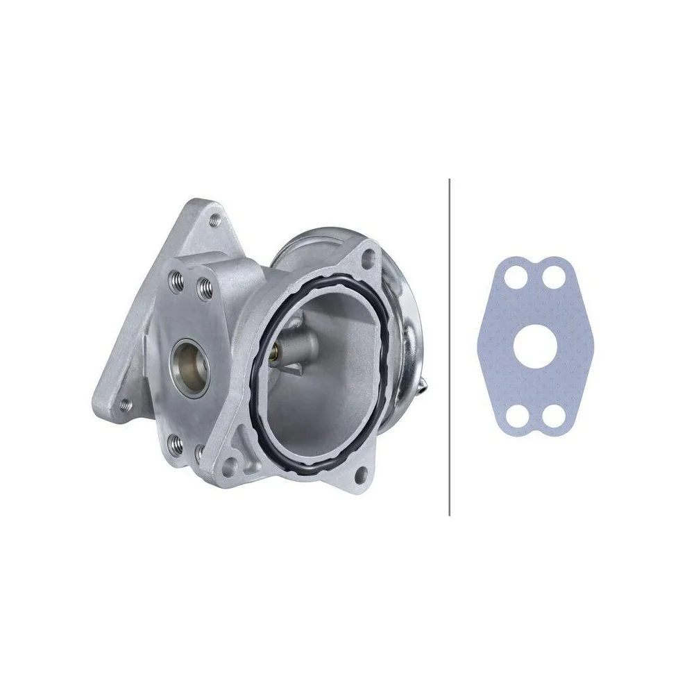 HELLA EGR-клапан 6NU 010 171-301 для AUDI SEAT SKODA VW HITACHI, фото №1 HELLA EGR-клапан 6NU 010 171-301 для AUDI SEAT SKODA VW HITACHI, фото №1