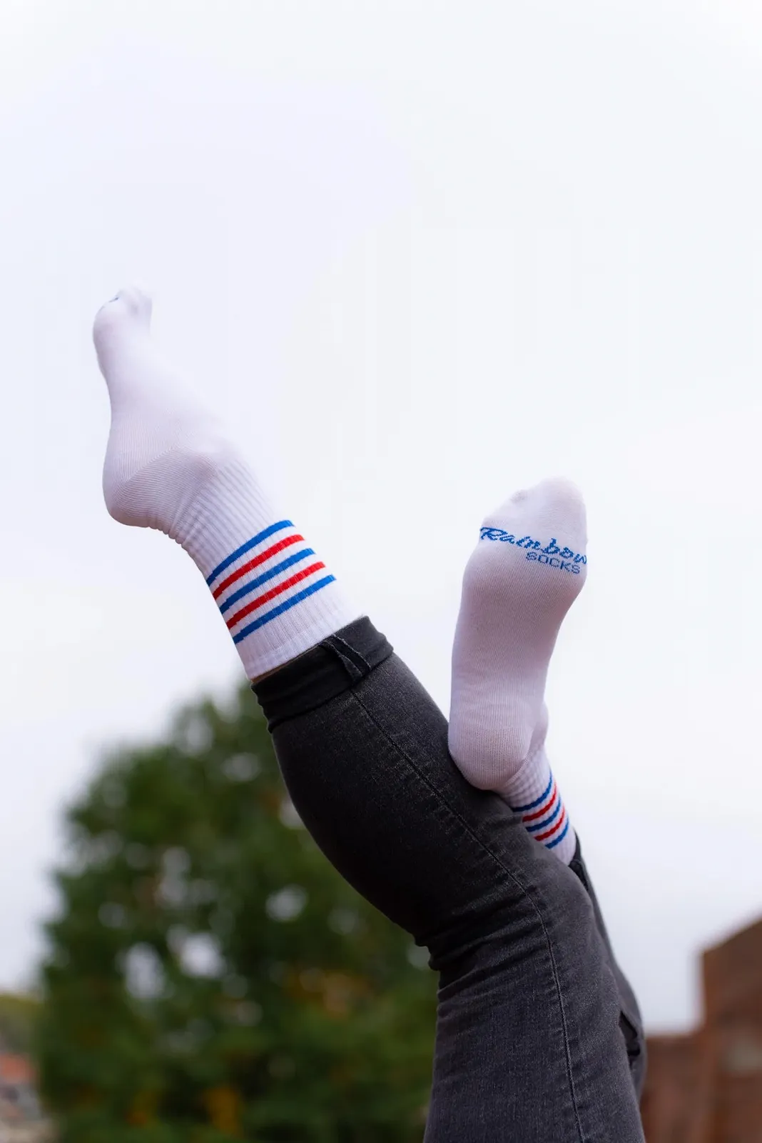 Шкарпетки Rainbow Socks Бавовняні - 3 пари, фото №7 Шкарпетки Rainbow Socks Бавовняні - 3 пари, фото №7