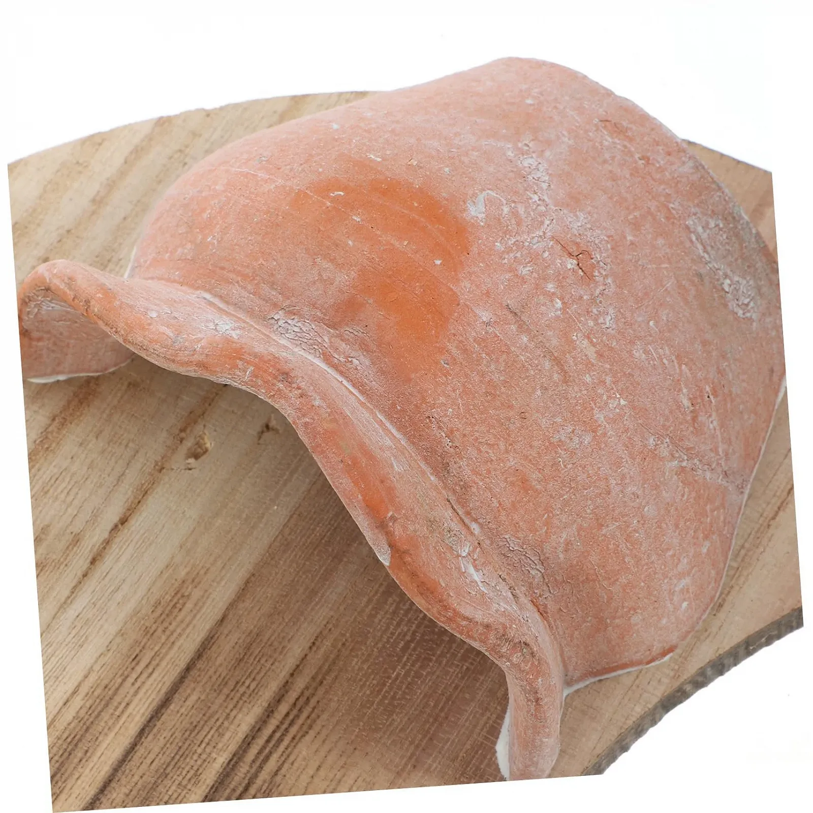 Підвісна настінна ваза HEMOTON Декоративна Кераміка та дерево, фото №6 Підвісна настінна ваза HEMOTON Декоративна Кераміка та дерево, фото №6