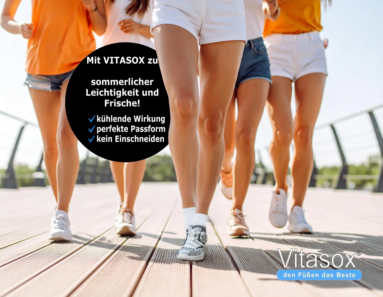 Жіночі шкарпетки Vitasox Trainer, фото №3 Жіночі шкарпетки Vitasox Trainer, фото №3