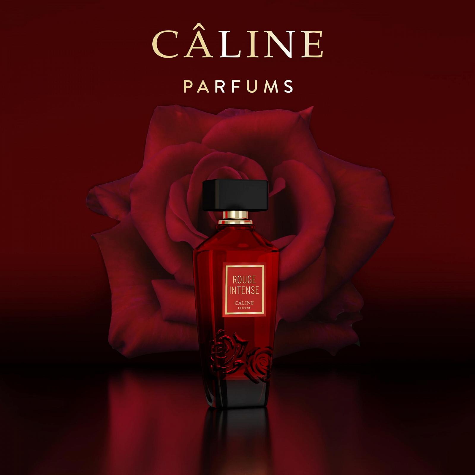 Парфюмированная вода Cahme Rouge Intense 60 мл, фото №4