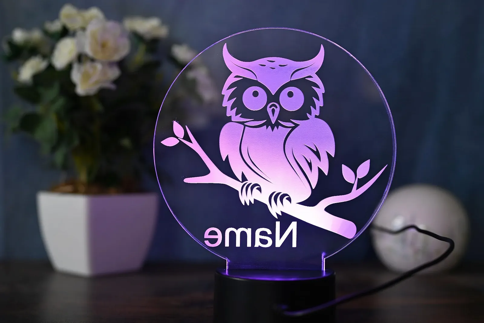 Настольная лампа Персонализированная сова LED декор акрил черная, фото №7