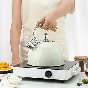 Чайник з свистком з нержавіючої сталі 3л synthetic.ua - Фото 1