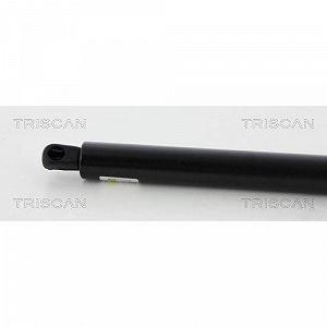 Газовая пружина багажника TRISCAN 8710 65210 для SAAB, задняя левая synthetic.ua - Фото 1