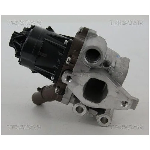 Клапан EGR TRISCAN 8813 15207 для FIAT IVECO, фото №4