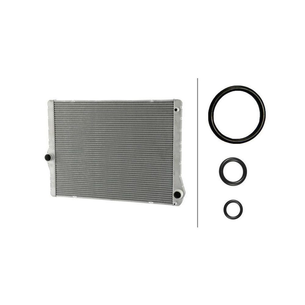 Радиатор охлаждения двигателя HELLA 8MK 366 301-861, фото №1 Радиатор охлаждения двигателя HELLA 8MK 366 301-861, фото №1