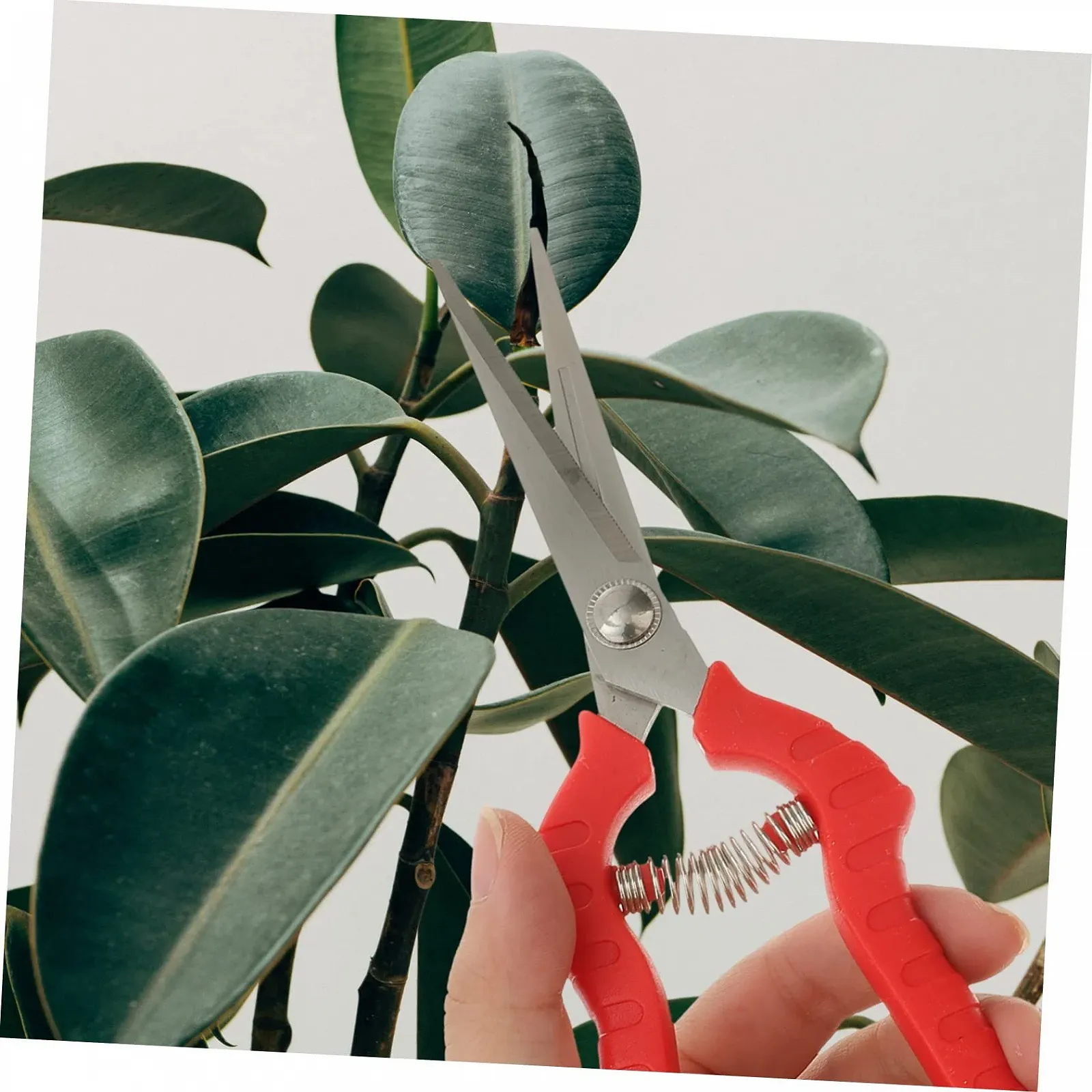 Набір садових секаторів Happyyami 3 шт. нержавіюча сталь Red, фото №5