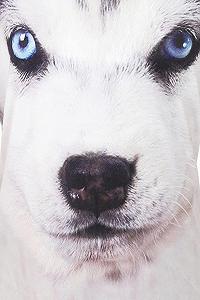 Детская пижама с принтом лапок synthetic.ua - Фото 1