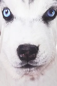 Дитяча піжама з принтом лапок synthetic.ua - Фото 1