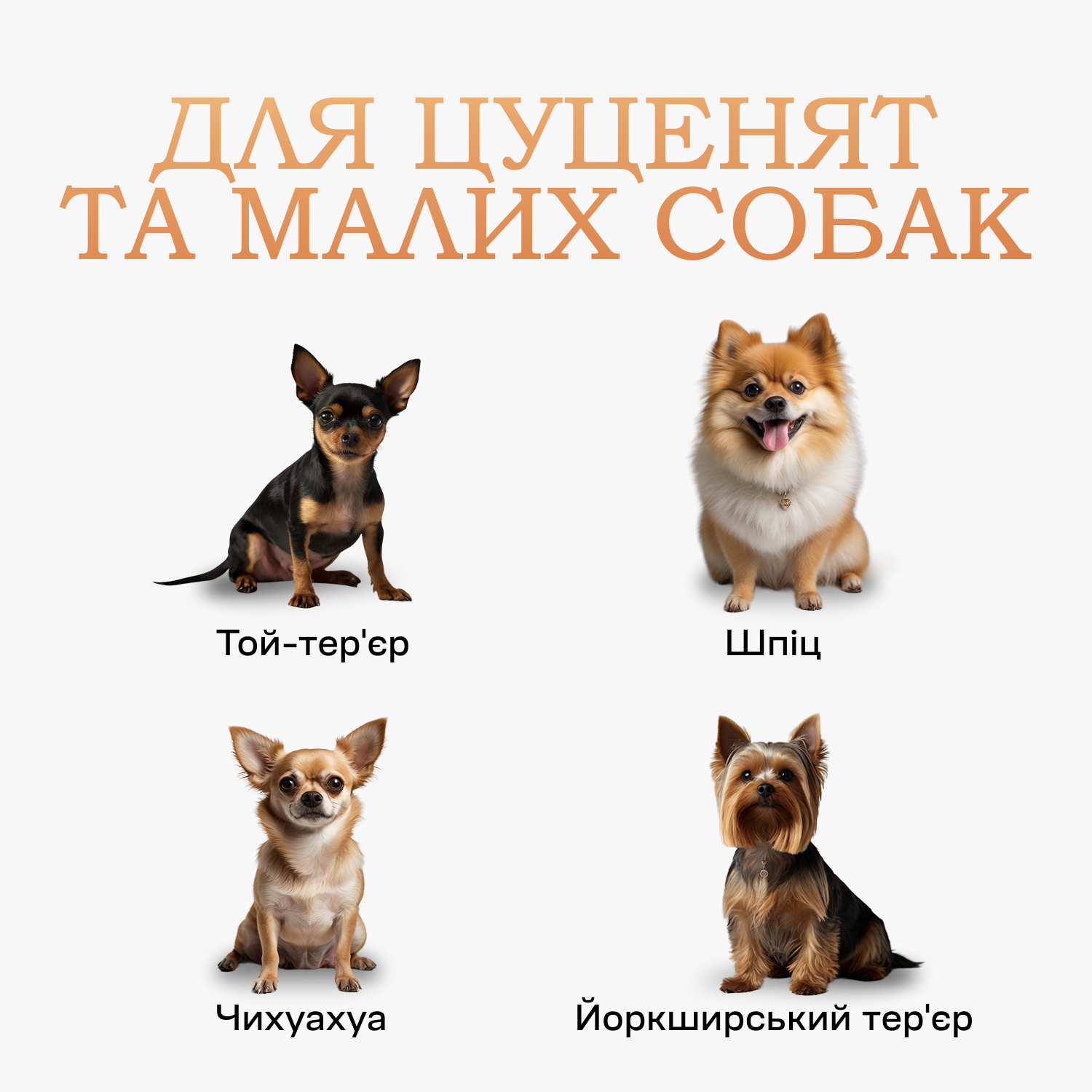 Силіконовий туалет лоток для собак під пелюшку 40х60 Сірий, фото №2 Силіконовий туалет лоток для собак під пелюшку 40х60 Сірий, фото №2
