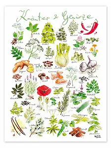 Постер Andreas Hirsch Herbs & Spices 50 x 70 см - Фото 1