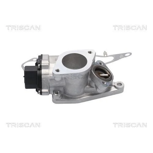 Клапан EGR TRISCAN 8813 25201 для RENAULT SUZUKI, фото №3