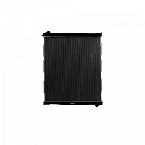 Радиатор охлаждения двигателя HELLA 8MK 366 302-141 для MAN synthetic.ua - Фото 1