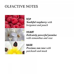 Лосьон для тела Molton Brown Jasmine and Sun Rose 300 мл synthetic.ua - Фото 1