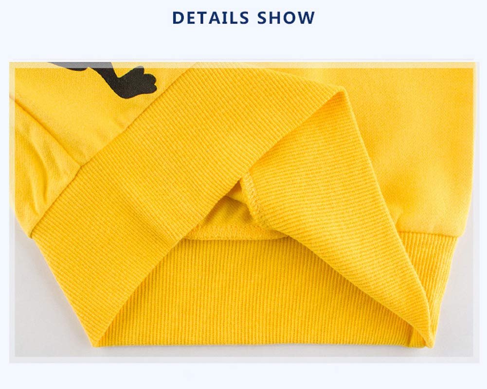 Толстовка SUPFANS Динозавр для хлопчиків Бавовняна Кофта T-Rex з довгими рукавами для малюків, фото №5 Толстовка SUPFANS Динозавр для хлопчиків Бавовняна Кофта T-Rex з довгими рукавами для малюків, фото №5