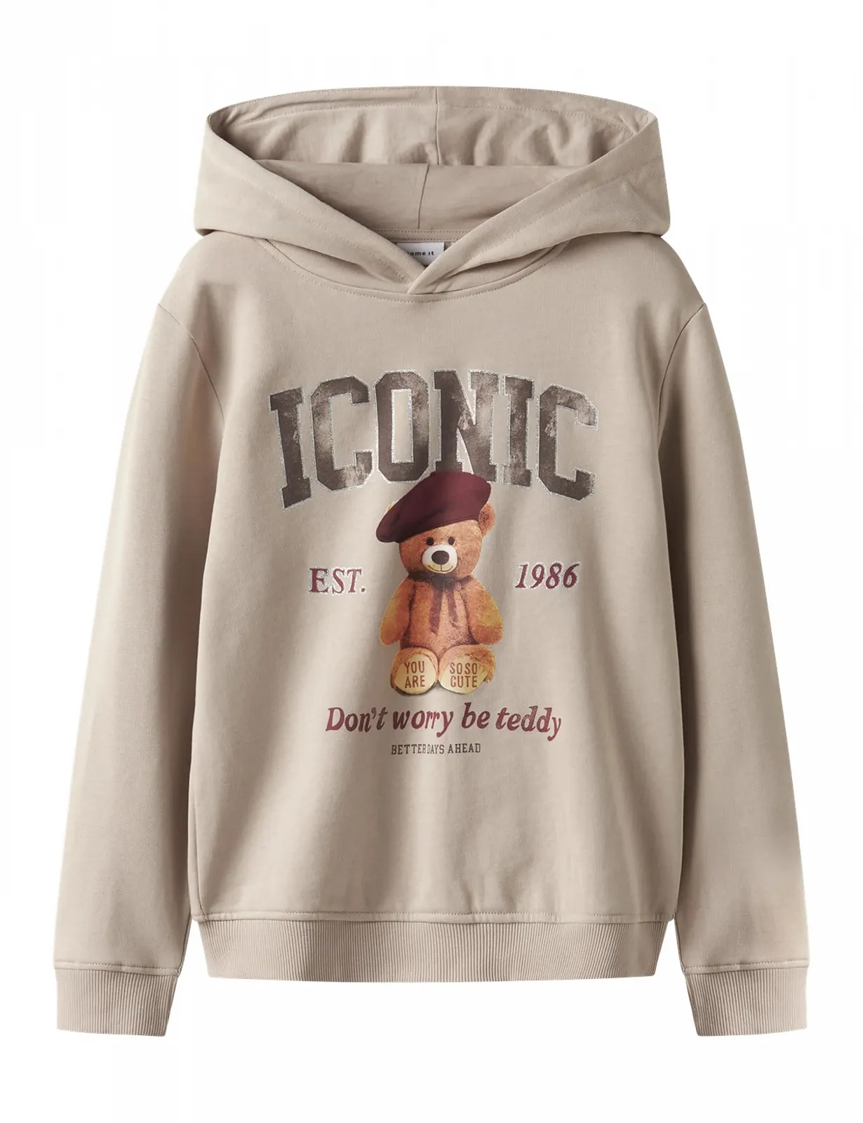 Толстовка NAME IT Nkfrycca LS Nreg Wh Bru Box для девочек, фото №1