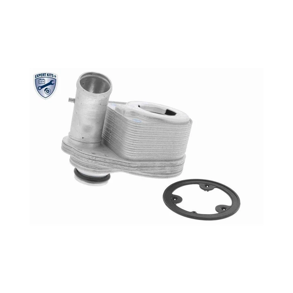 Радиатор масляный двигателя VEMO V24-60-0011 EXPERT KITS + для ALFA ROMEO FIAT IVECO, фото №1 Радиатор масляный двигателя VEMO V24-60-0011 EXPERT KITS + для ALFA ROMEO FIAT IVECO, фото №1