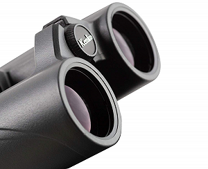 Біноклі Kenko SG EX 8x34 OP WP Roof synthetic.ua - Фото 1