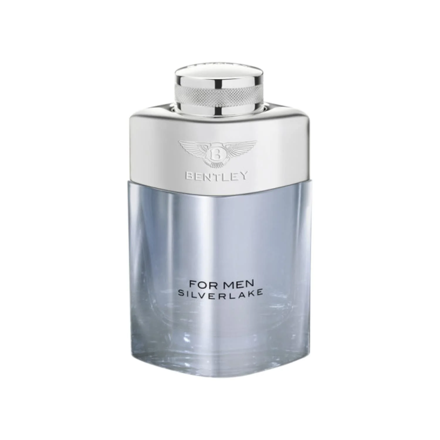 Парфумована вода Bentley For Men Silverlake 100 мл, фото №1