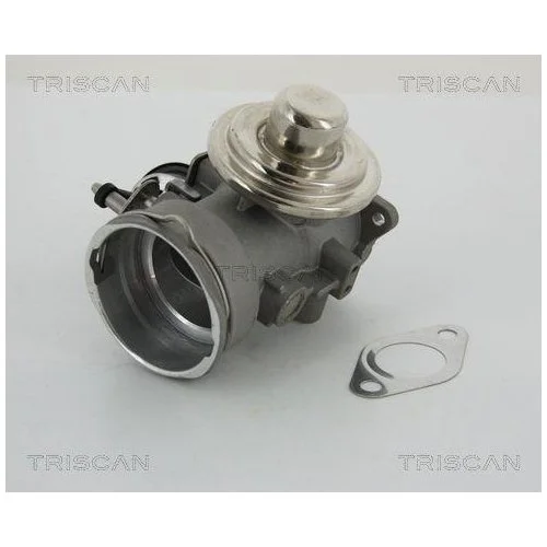 Клапан EGR TRISCAN 8813 29040 для AUDI SEAT SKODA VW, фото №2