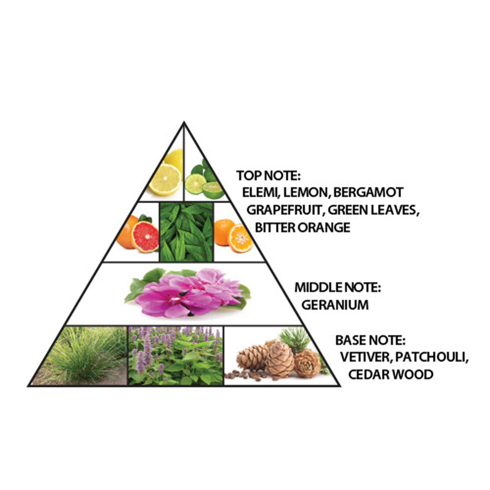 EDP Al Haramain Signature Blue M 100 мл, фото №2