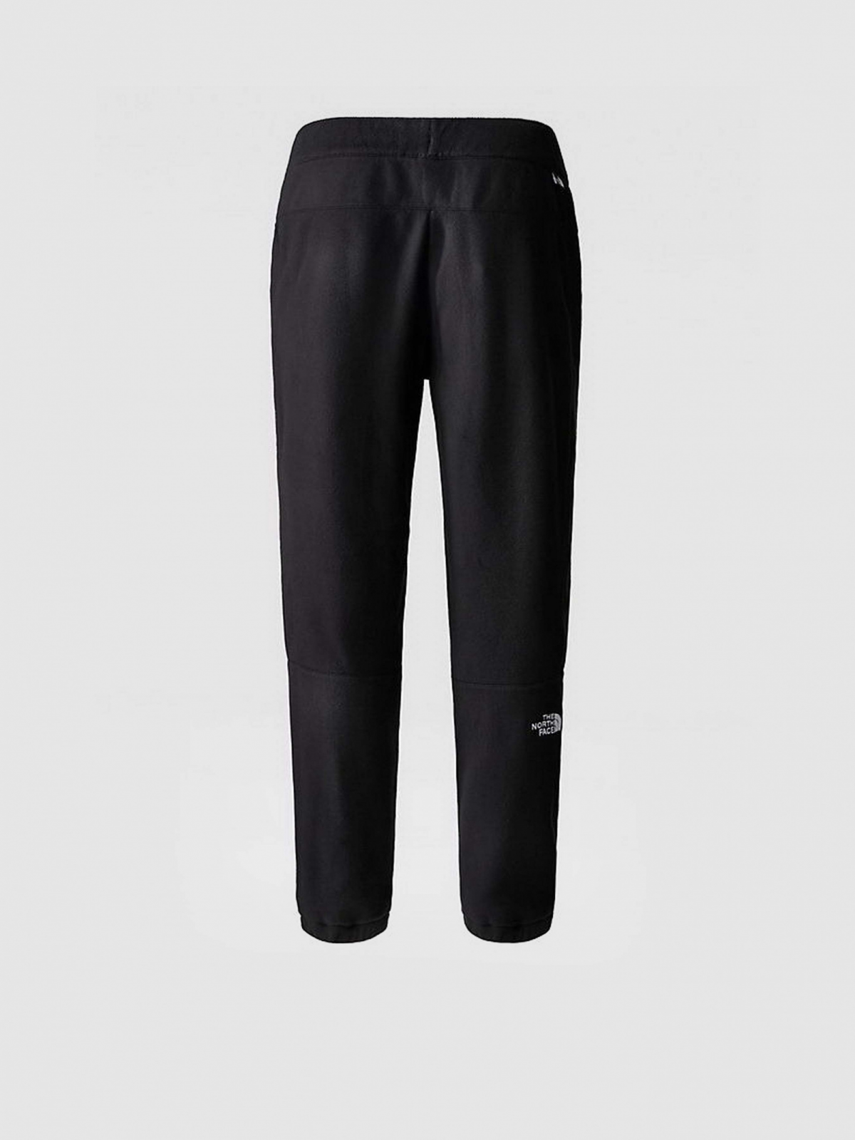 Штаны THE NORTH FACE GLACIER PANT M 100 Черный XL, фото №5