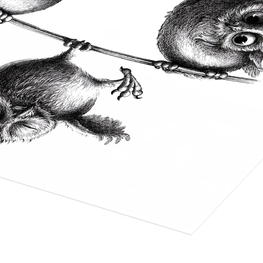 Постер Three Owls High Rope Act Stefan Kahlhammer 70 x 50 см Черно-белый Рисунок, фото №3