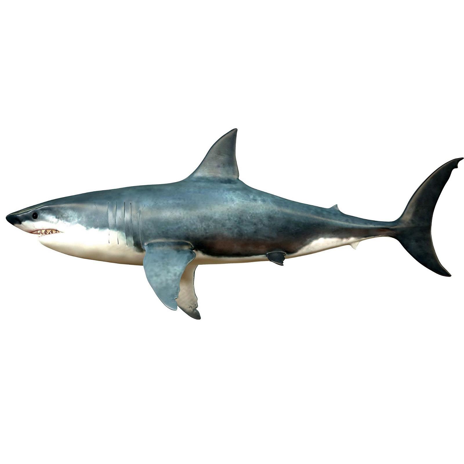 Наклейка на стіну GRAZDesign Shark XXL Самоклейна 120 x 50 см, фото №1