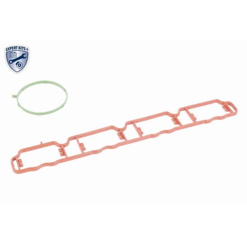 Модуль впускного коллектора VAICO EXPERT KITS + V10-6770 для AUDI SEAT SKODA VW VAG, фото №3 Модуль впускного коллектора VAICO EXPERT KITS + V10-6770 для AUDI SEAT SKODA VW VAG, фото №3