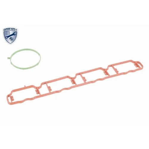 Модуль впускного коллектора VAICO EXPERT KITS + V10-6770 для AUDI SEAT SKODA VW VAG, фото №3 Модуль впускного коллектора VAICO EXPERT KITS + V10-6770 для AUDI SEAT SKODA VW VAG, фото №3