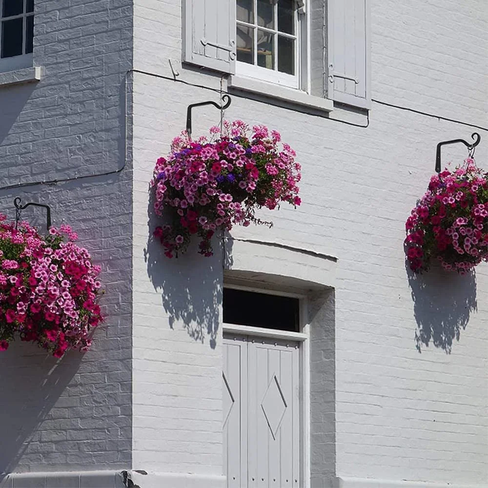 Настінні кронштейни для рослин Залізні гачки Чорні Набір з 2 шт., фото №8 Настінні кронштейни для рослин Залізні гачки Чорні Набір з 2 шт., фото №8