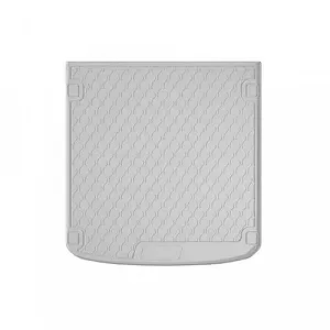 Поддон багажника VAICO V10-8077 Green Mobility Parts для AUDI synthetic.ua - Фото 1