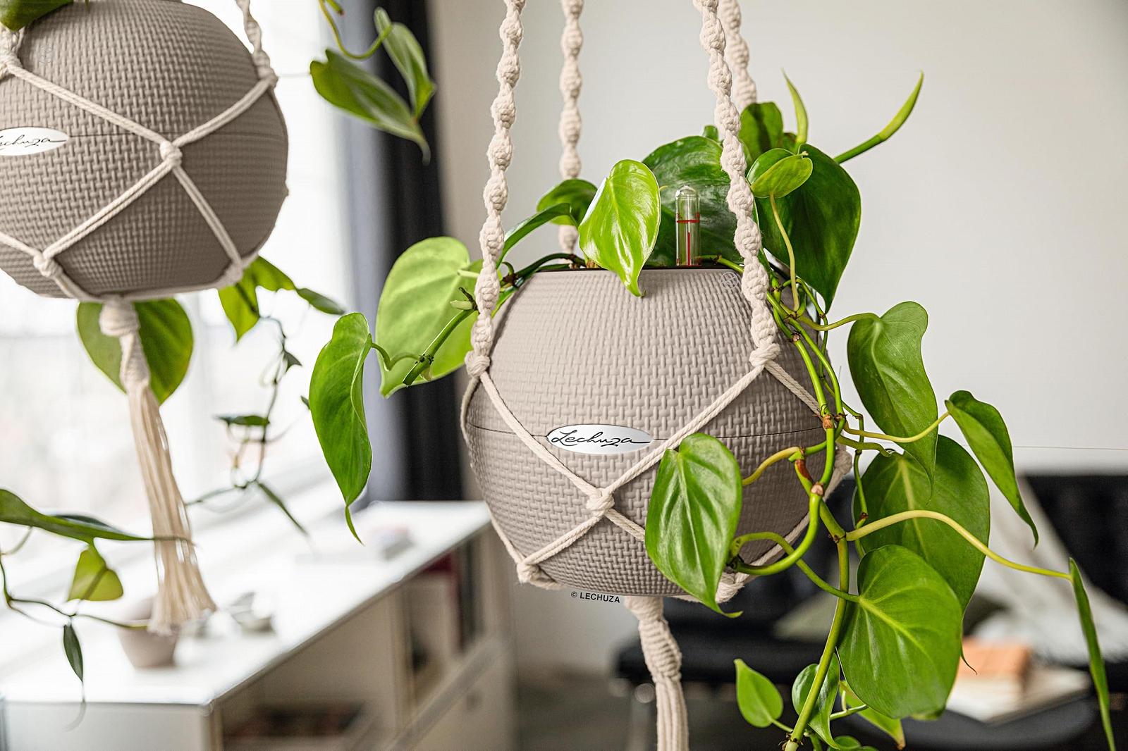 Подвесное кашпо макраме Lechuza Cotton Pure 120 100% хлопок черное 13899, фото №4