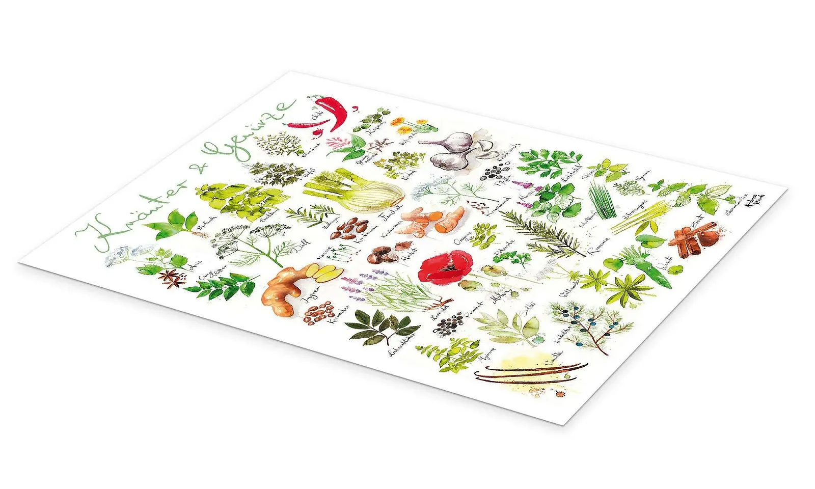 Постер Andreas Hirsch Herbs & Spices 50 x 70 см, фото №2
