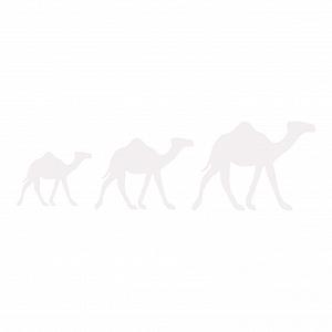 Наклейка на стіну kleb-Drauf 1 Camel Caravan Біла Матова - Фото 1