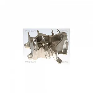 Поворотный кулак TRISCAN 8500 81706 для TESLA, задний правый - Фото 1