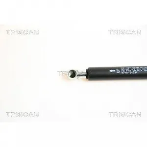 Газовая пружина багажника TRISCAN 8710 14234 для NISSAN synthetic.ua - Фото 1