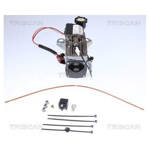 Компрессор пневмосистемы TRISCAN 8725 29101 для AUDI, фото №3