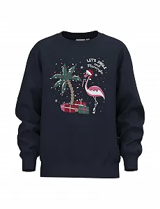 Толстовка NAME IT Nkfvismas LS Nreg Sweat Bru для девочек - Фото 1