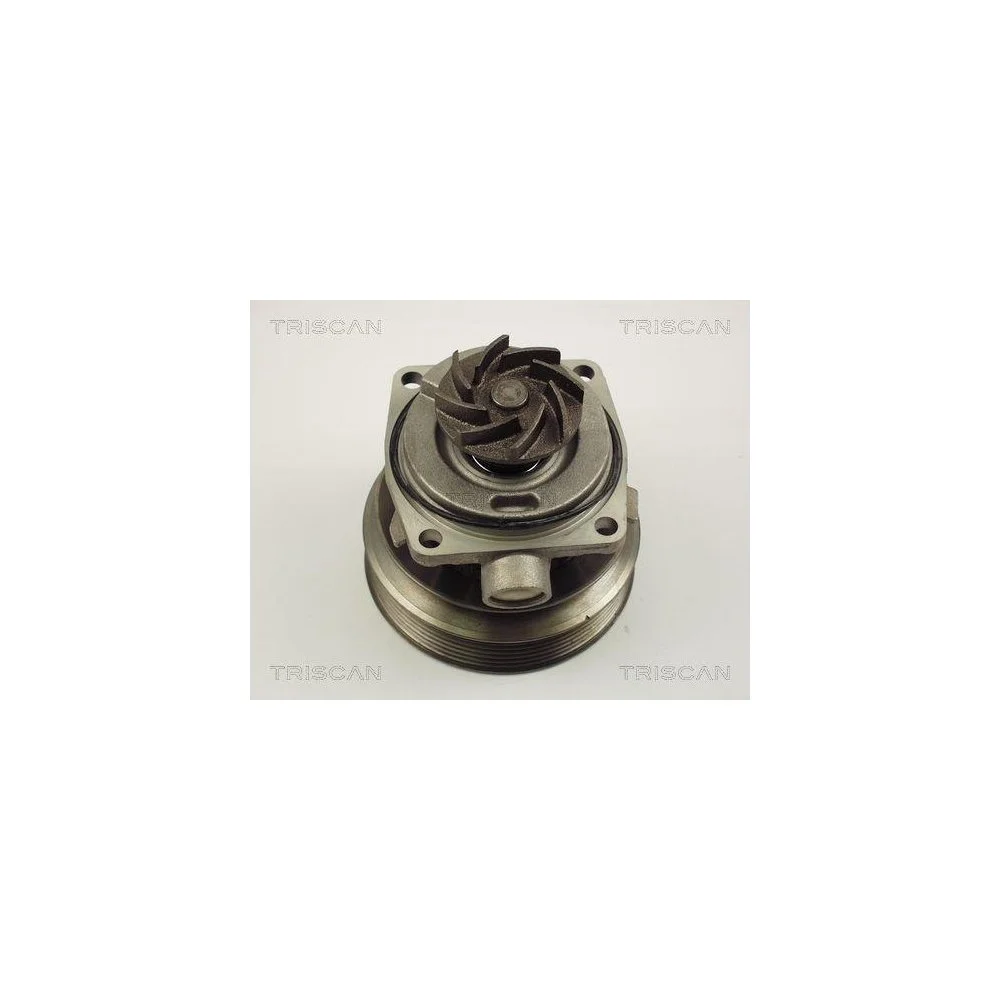 Водяний насос охолодження двигуна TRISCAN 8600 10006 для CITROËN FIAT PEUGEOT, фото №1