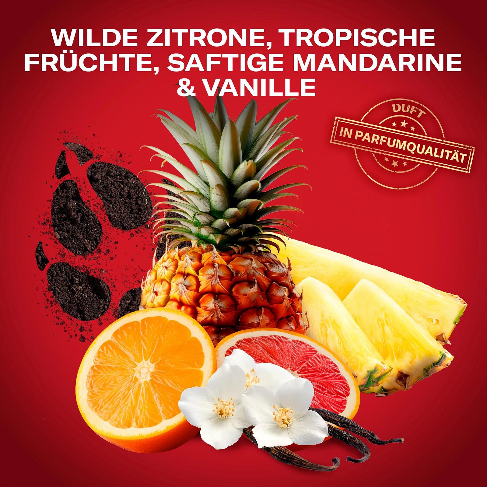 Шампунь та гель для душу 3-в-1 Old Spice Wolfthorn для волосся, обличчя та тіла 250 мл, фото №3