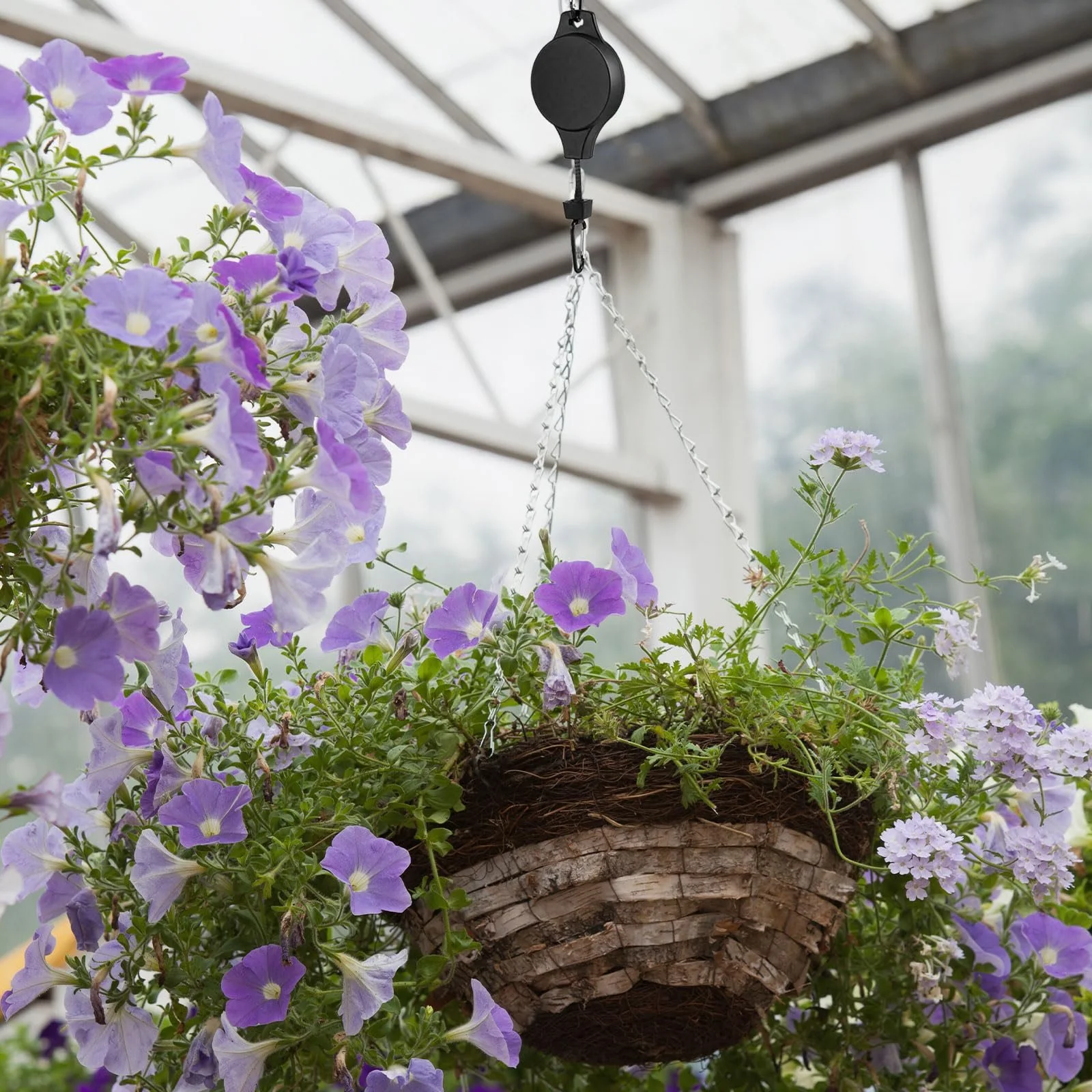 Регульовані ролики для рослин Pack of 2 Black, фото №6 Регульовані ролики для рослин Pack of 2 Black, фото №6