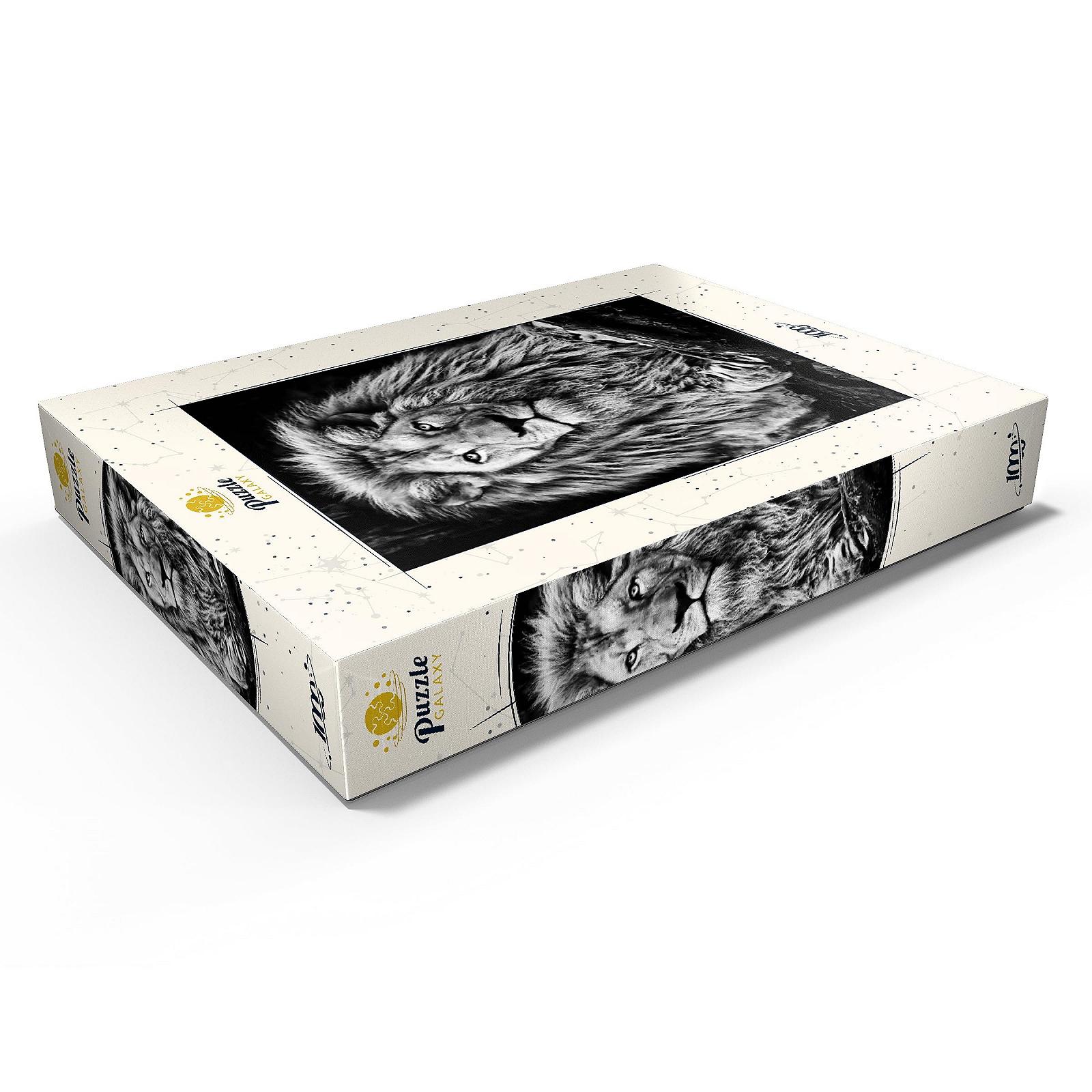 Пазл MyPuzzle Special Collection Черно-белое изображение величественного льва Premium 1000 элементов Черно-белый, фото №3 Пазл MyPuzzle Special Collection Черно-белое изображение величественного льва Premium 1000 элементов Черно-белый, фото №3