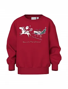 Свитшот NAME IT Nmfvismas LS Nreg Sweat Bru для девочек - Фото 1