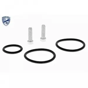 Гидравлический фильтр, многодисковая муфта (полный привод) VAICO V95-0466 EXPERT KITS + synthetic.ua - Фото 1