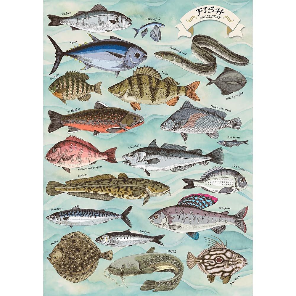 Пазл Trefl Premium Plus Quality Finders Keepers Fish 500 элементов, фото №2