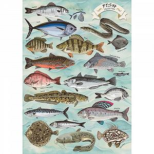 Пазл Trefl Premium Plus Quality Finders Keepers Fish 500 элементов synthetic.ua - Фото 1